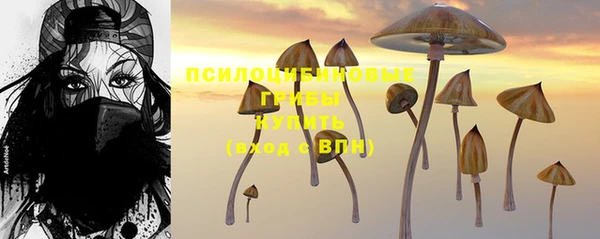 амф Алексеевка
