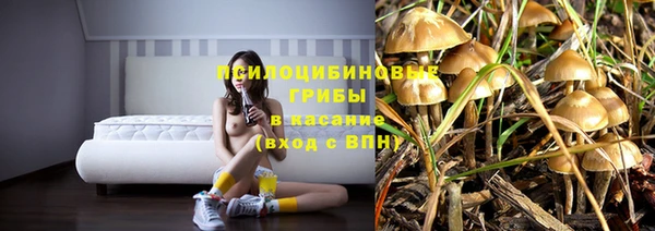 мдпв Арсеньев