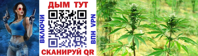 Шишки марихуана конопля  Руза 